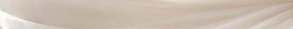 Brautkleider_Organzamuster Organza Stoff