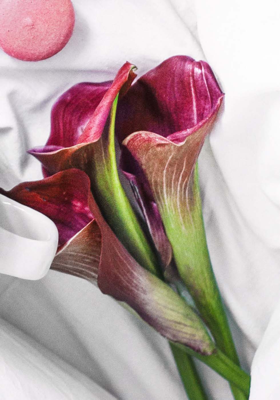 Calla Calla