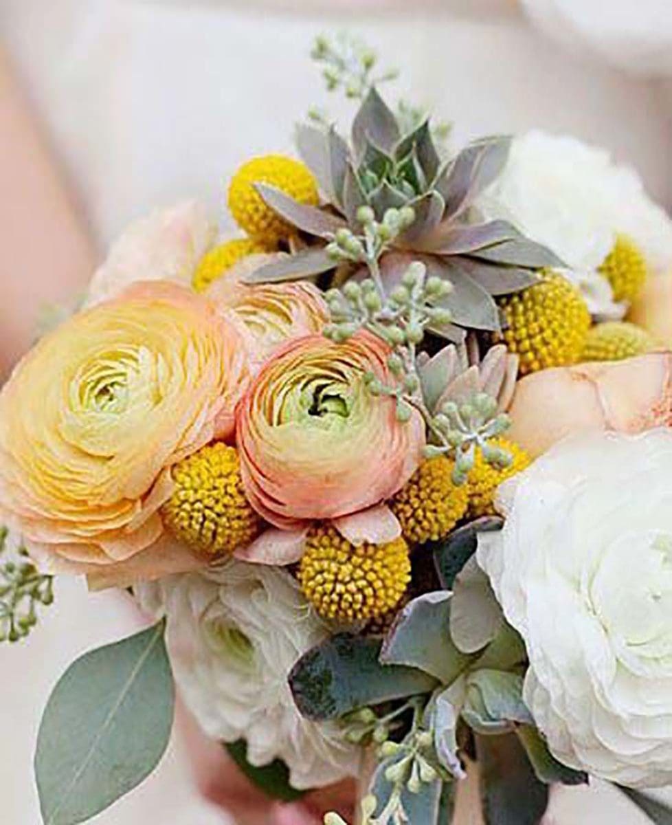 Hochzeitsblumen Brautstrauß Craspedien Hochzeitsblumen Brautstrauß Craspedien