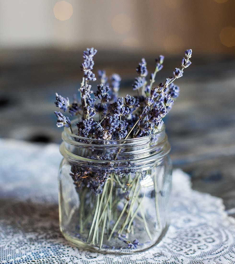 Hochzeitsblumen Lavendel Hochzeitsblumen Lavendel