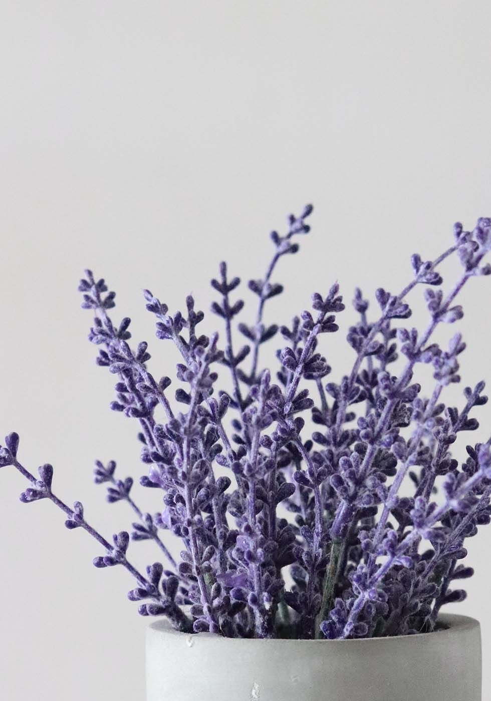 Hochzeitsblumen Lavendel Hochzeitsblumen Lavendel