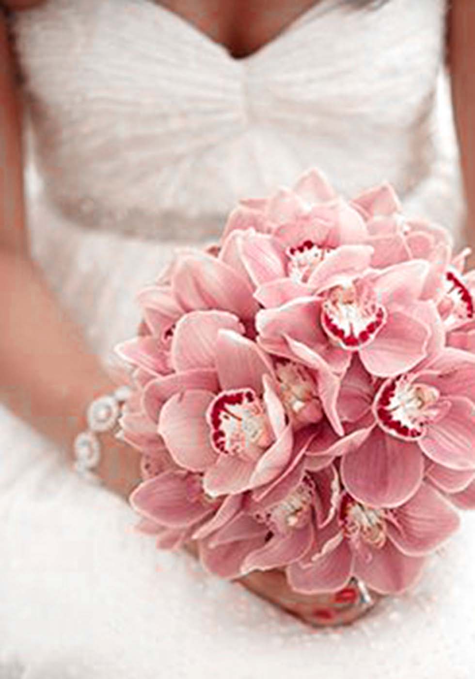 Hochzeitsblumen Orchidee Hochzeitsblumen Orchidee