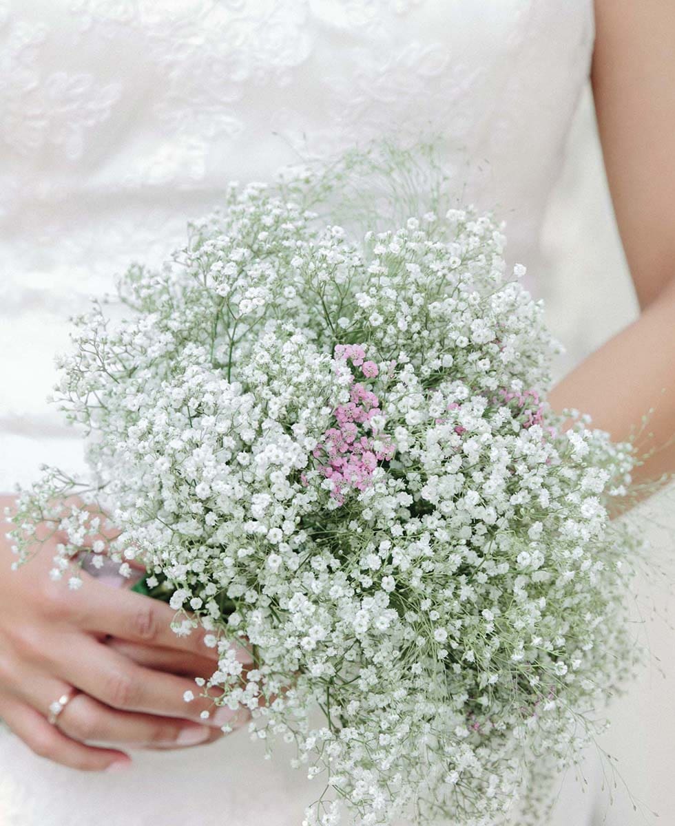 Hochzeitsblumen Schleierkraut Hochzeitsblumen Schleierkraut