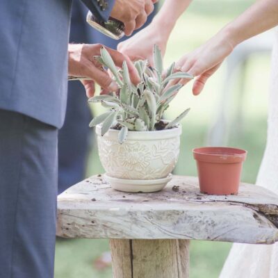 Pflanzritual Hochzeit