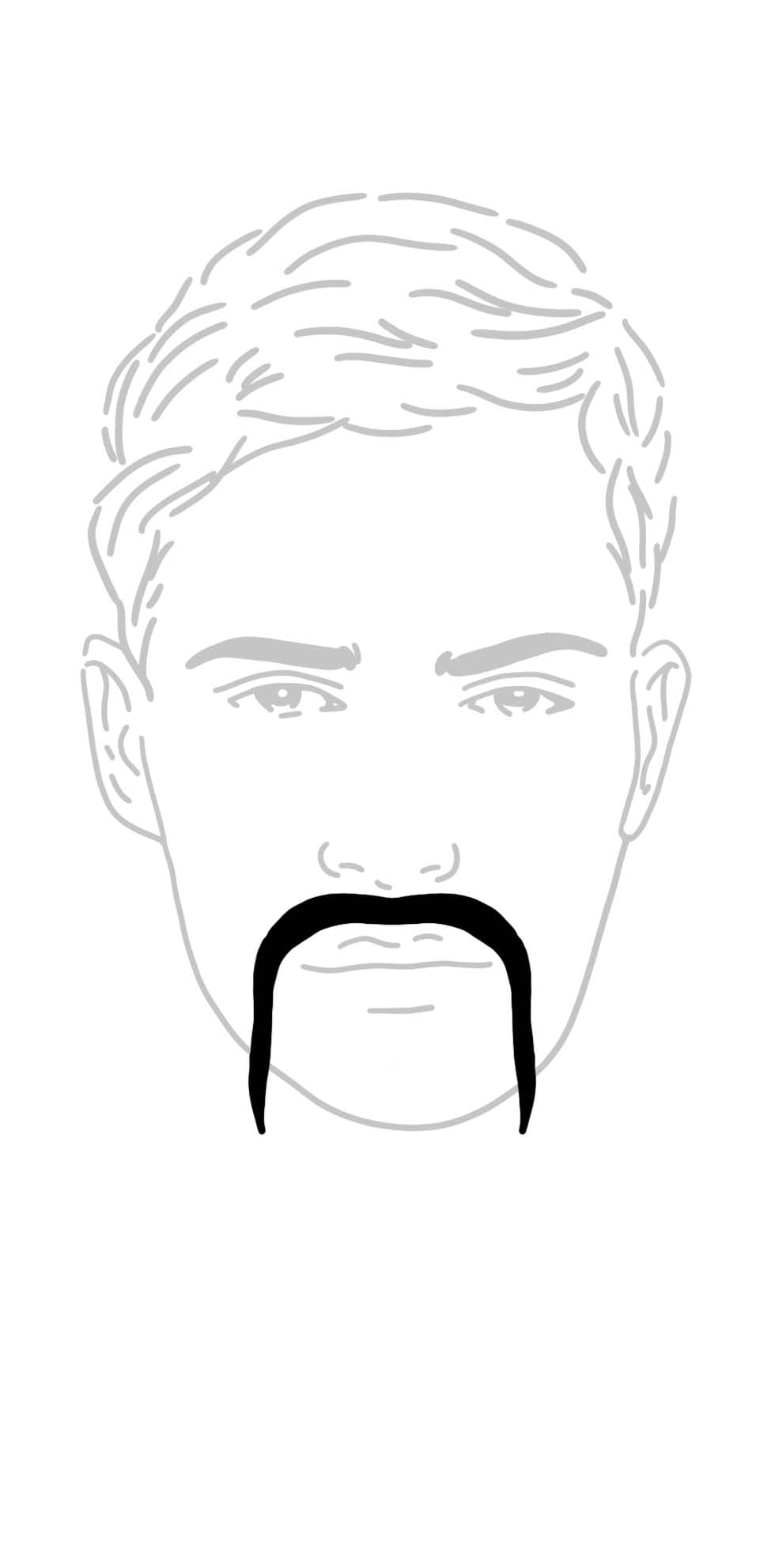 Fu Manchu Bart Fu Manchu Bart
