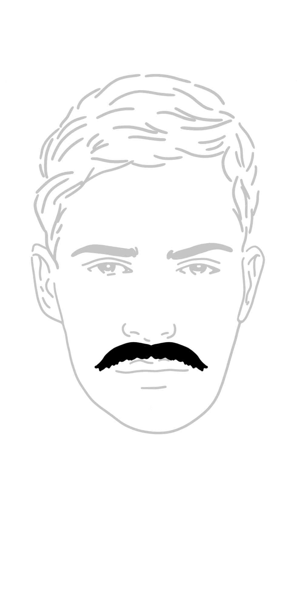 Moustache Bart Moustache Bart