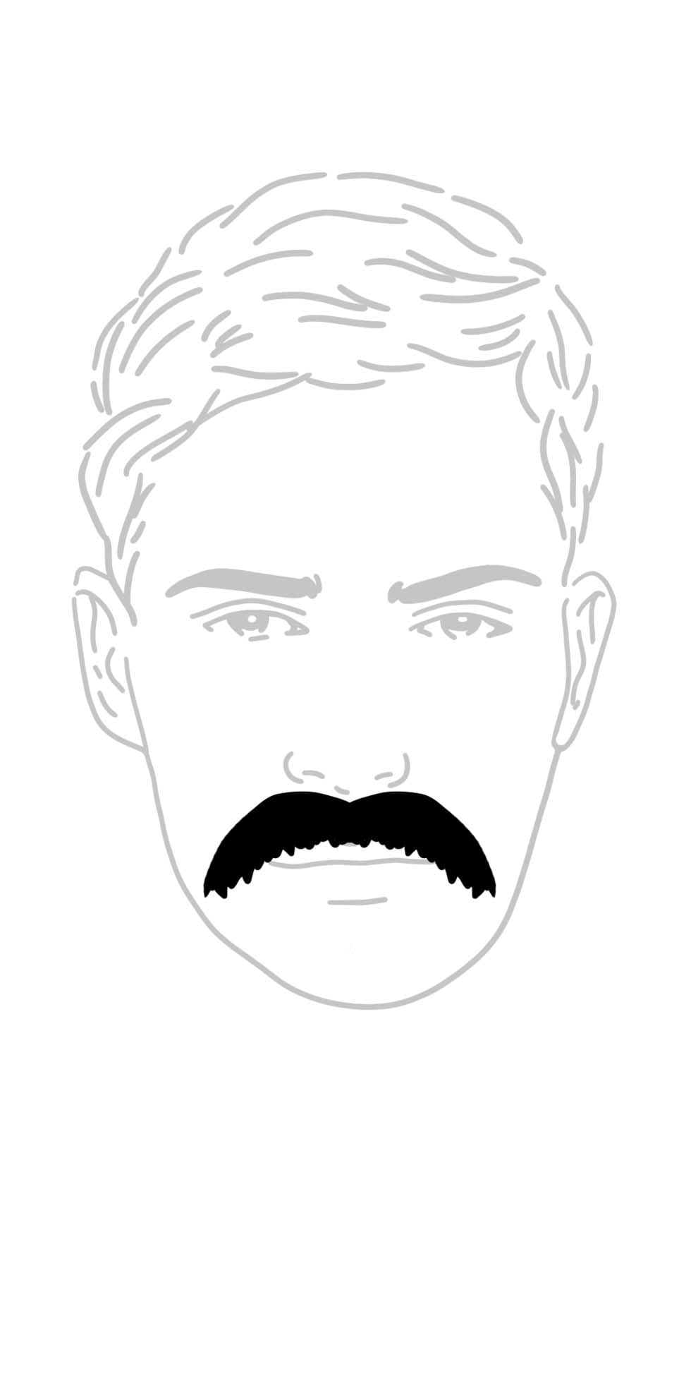 Walross Bart Walross Bart