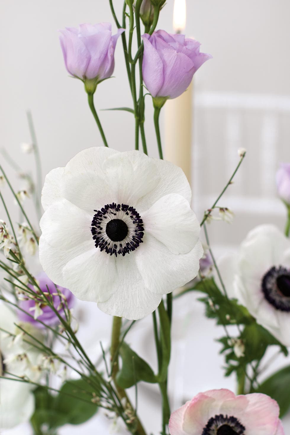 Tischdeko Anemone pastell Tischdeko Anemone pastell