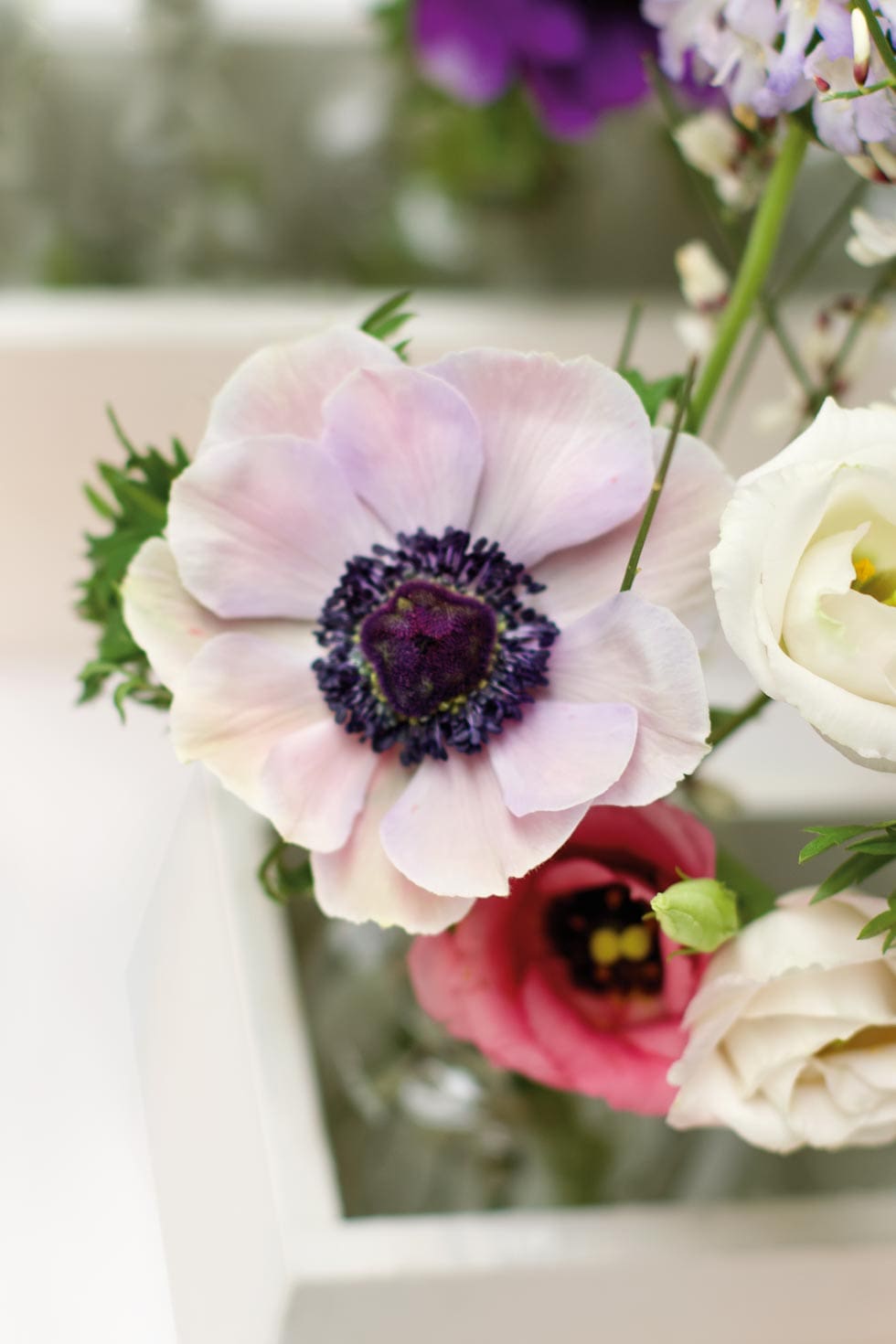 Blumen Gartenparty Blumen Gartenparty