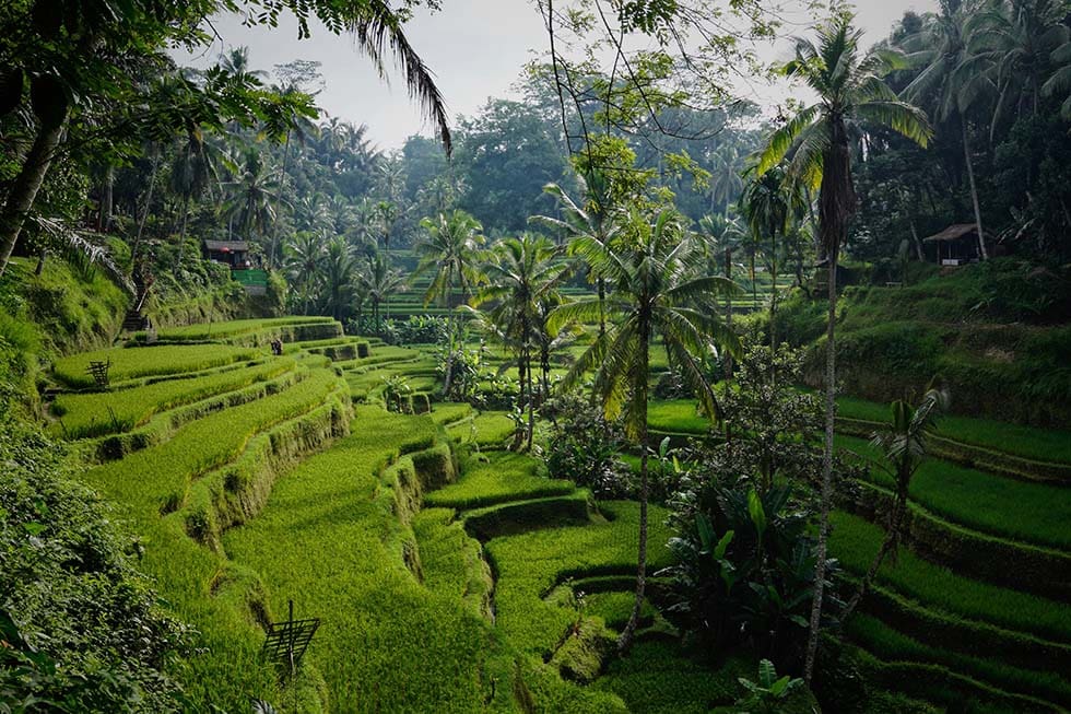 Heiraten auf Bali Heiraten auf Bali