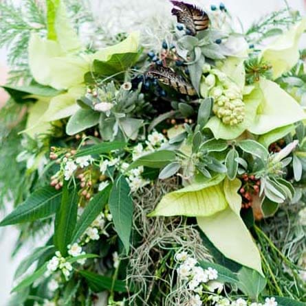 Weihnachtsstern-Hochzeitsblume_3 Hochzeitsblumen: Die schönsten Blumen für eure Hochzeit