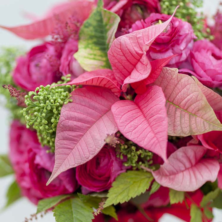 Weihnachtsstern-Hochzeitsblume_5 Hochzeitsblumen: Die schönsten Blumen für eure Hochzeit
