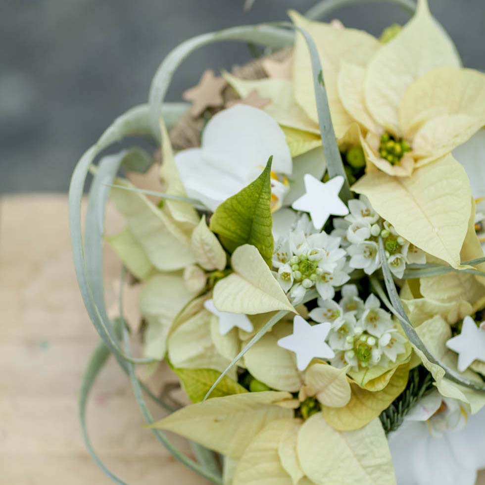 Weihnachtsstern-Hochzeitsblume_6 Hochzeitsblumen: Die schönsten Blumen für eure Hochzeit