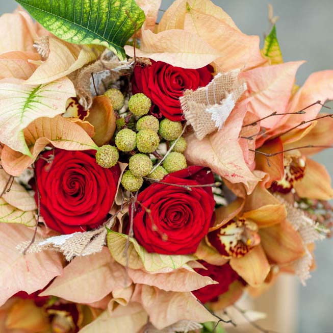 Weihnachtsstern-Hochzeitsblume_7 Hochzeitsblumen: Die schönsten Blumen für eure Hochzeit