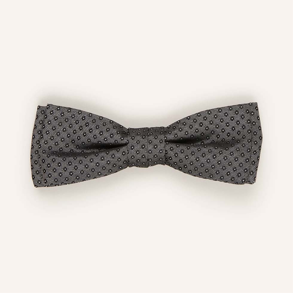 Graue elegante Fliege Graue elegante Fliege