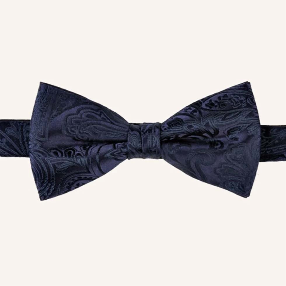 elegante blaue Hochzeitsfliege elegante blaue Hochzeitsfliege